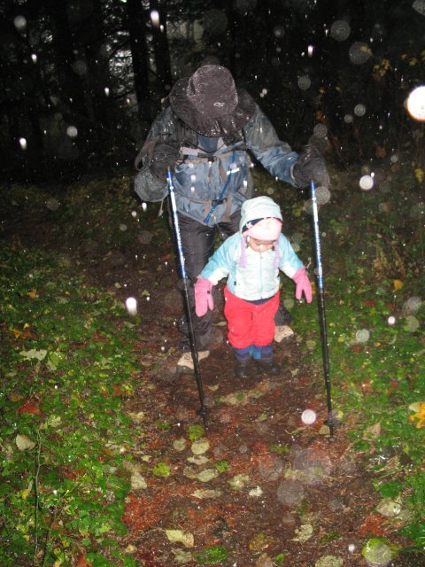 11.11.06 Waukeena Multnomah Falls 035 